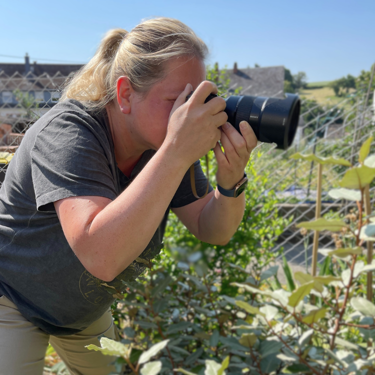 13 Die Kater Ernie und Bert - echte Schmusekater